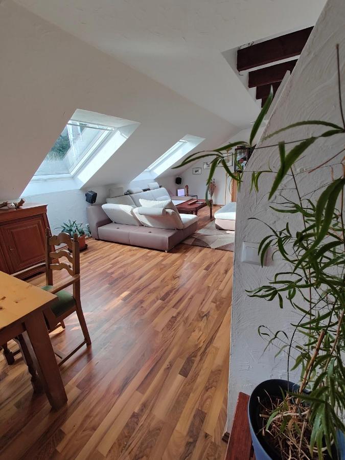 Komfort Ferienwohnung Biene Saarbruecken Luaran gambar